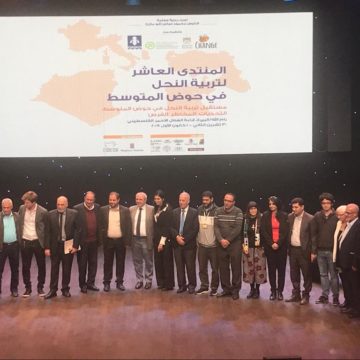 Forum apicoltura palestina