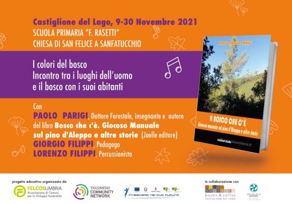 “I colori del bosco” un progetto educativo-creativo nell’ambiente naturale di Castiglione del Lago  tra il farfugliare degli alberi e un gigante con le ali.