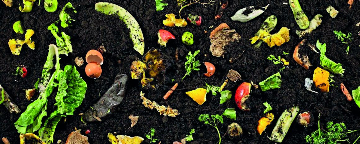 Compost.i  – lo scarto non esiste