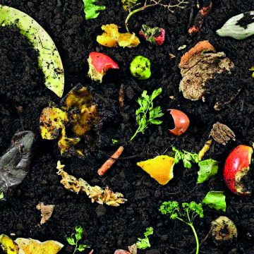 Compost.i  – lo scarto non esiste