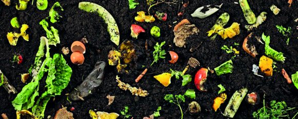 Compost.i  – lo scarto non esiste