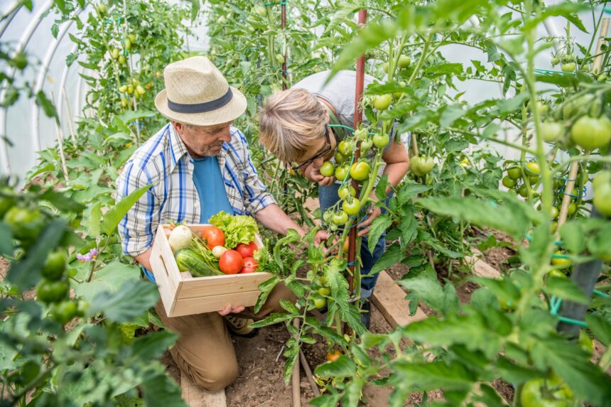 SEI BIOAS, la Bio Agricoltura Sociale per una scuola itinerante di esperienze e relazioni